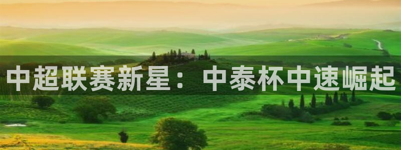 中超联赛新星：中泰杯中速崛起
