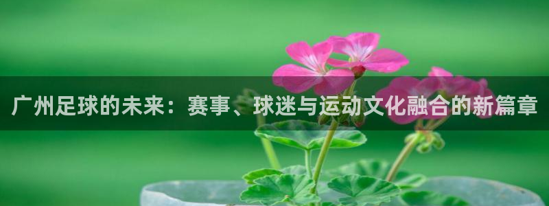球王会体育官网下载：广州足球的未来：赛事、球迷与运动文化融合