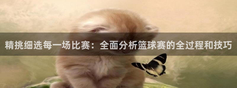 球王会体育app下载官网手机版：精挑细选每一场比赛：全面分析