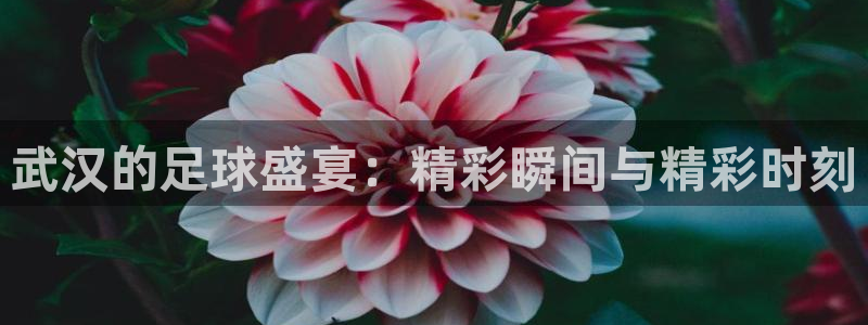 球王会体育app下载官网手机版：武汉的足球盛宴：精彩瞬间与精