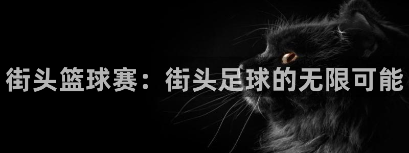 球王会体育app：街头篮球赛：街头足球的无限可能